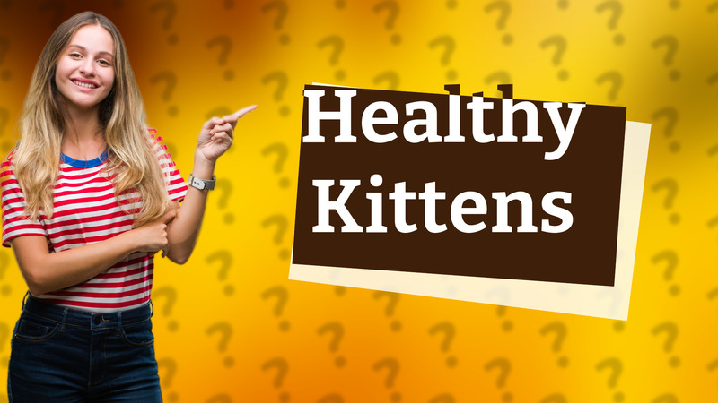 Healthy Kittens