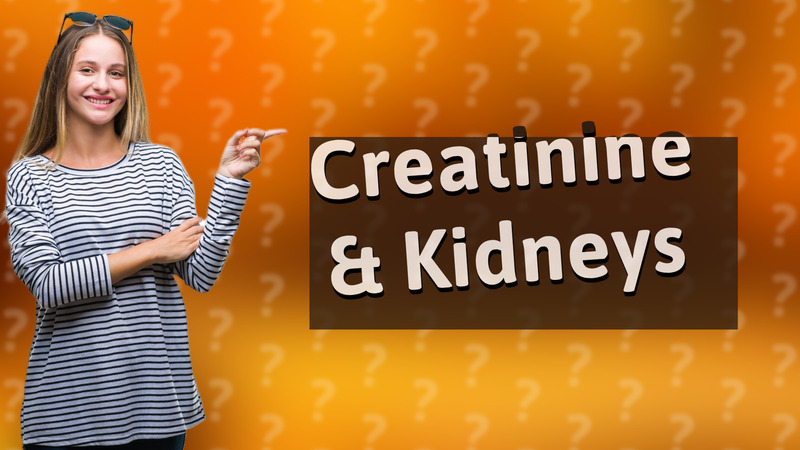 Creatinine & Kidneys