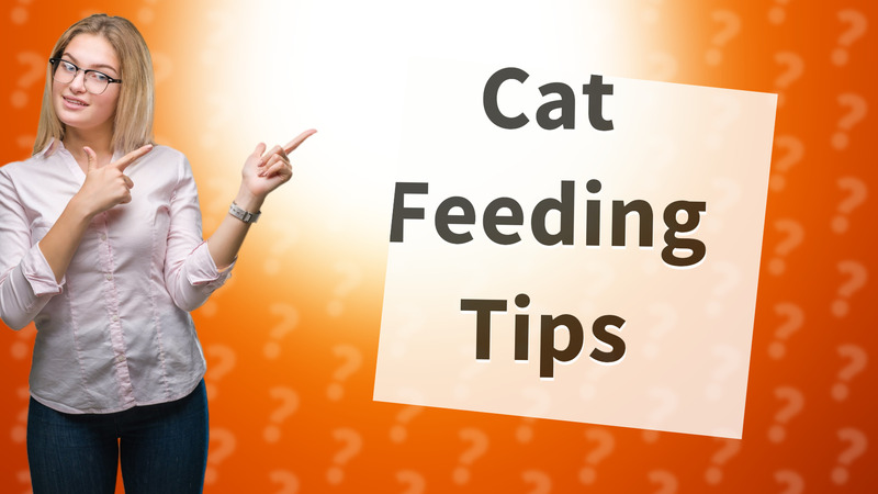 Cat Feeding Tips