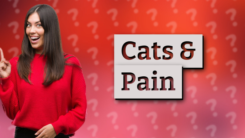 Cats & Pain