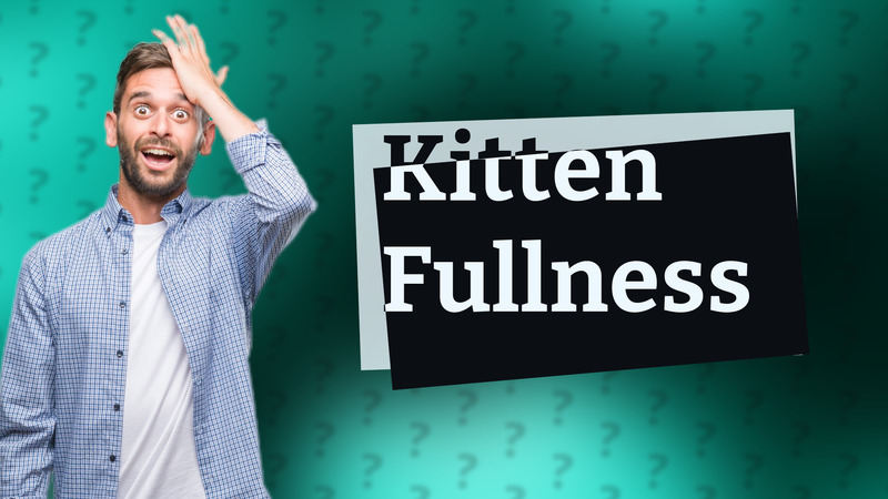 Kitten Fullness