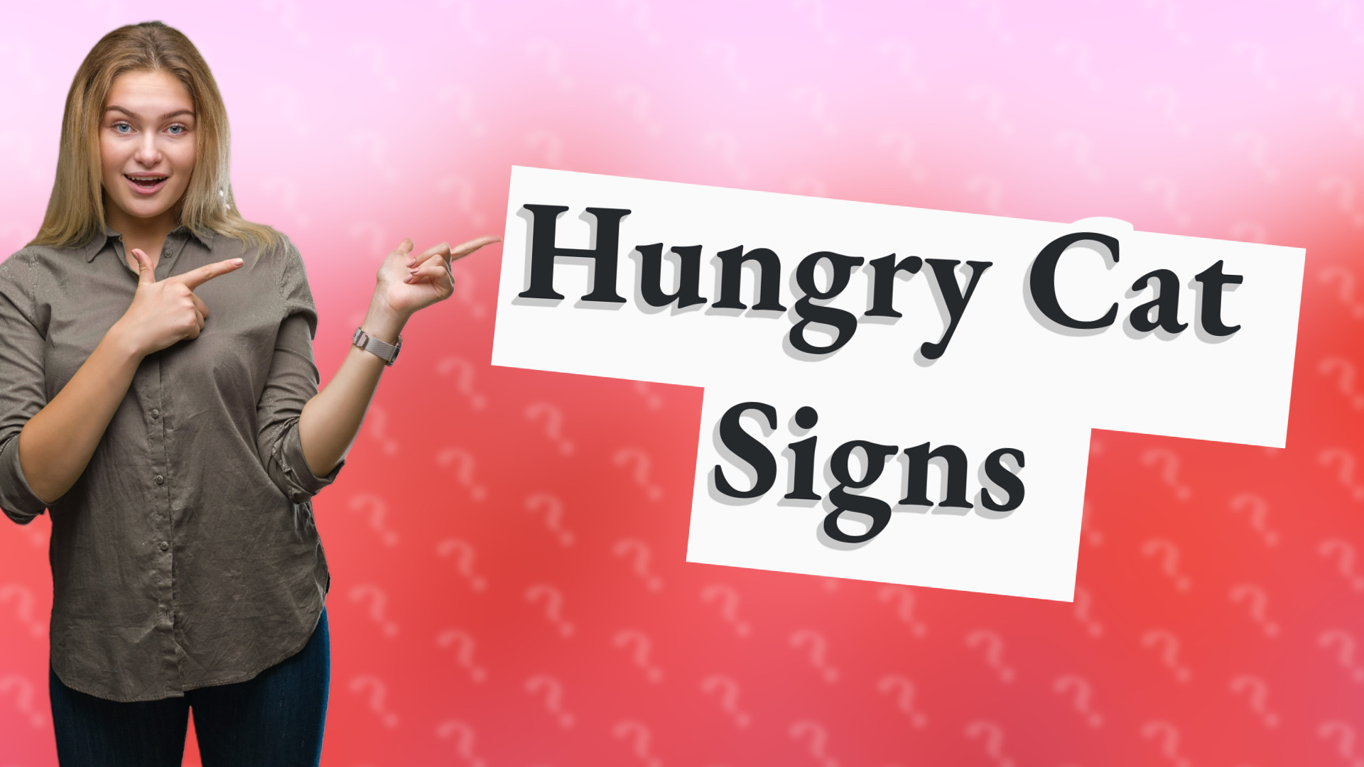 Hungry Cat Signs