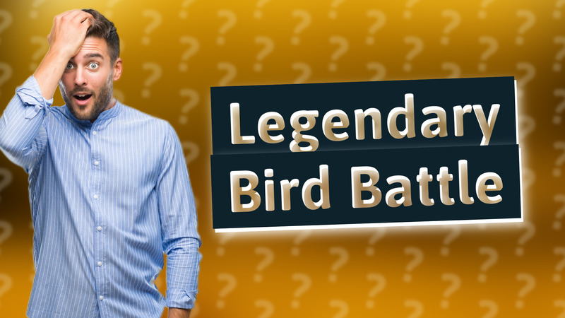 Legendary Bird Battle