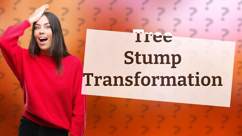 Tree Stump Transformation