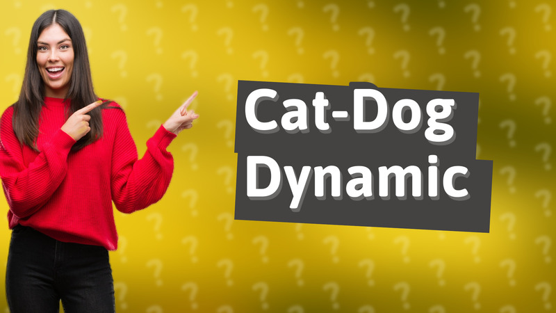 Cat-Dog Dynamic