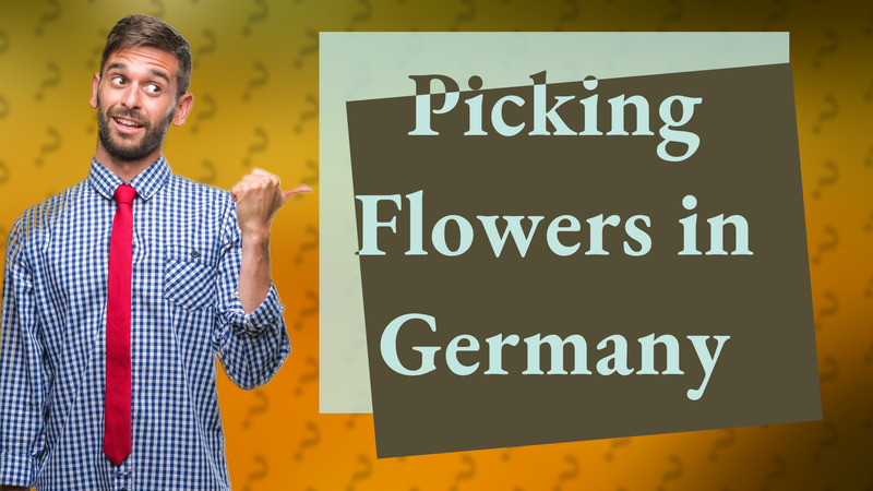 Picking Flowers in Germany