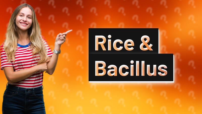 Rice & Bacillus