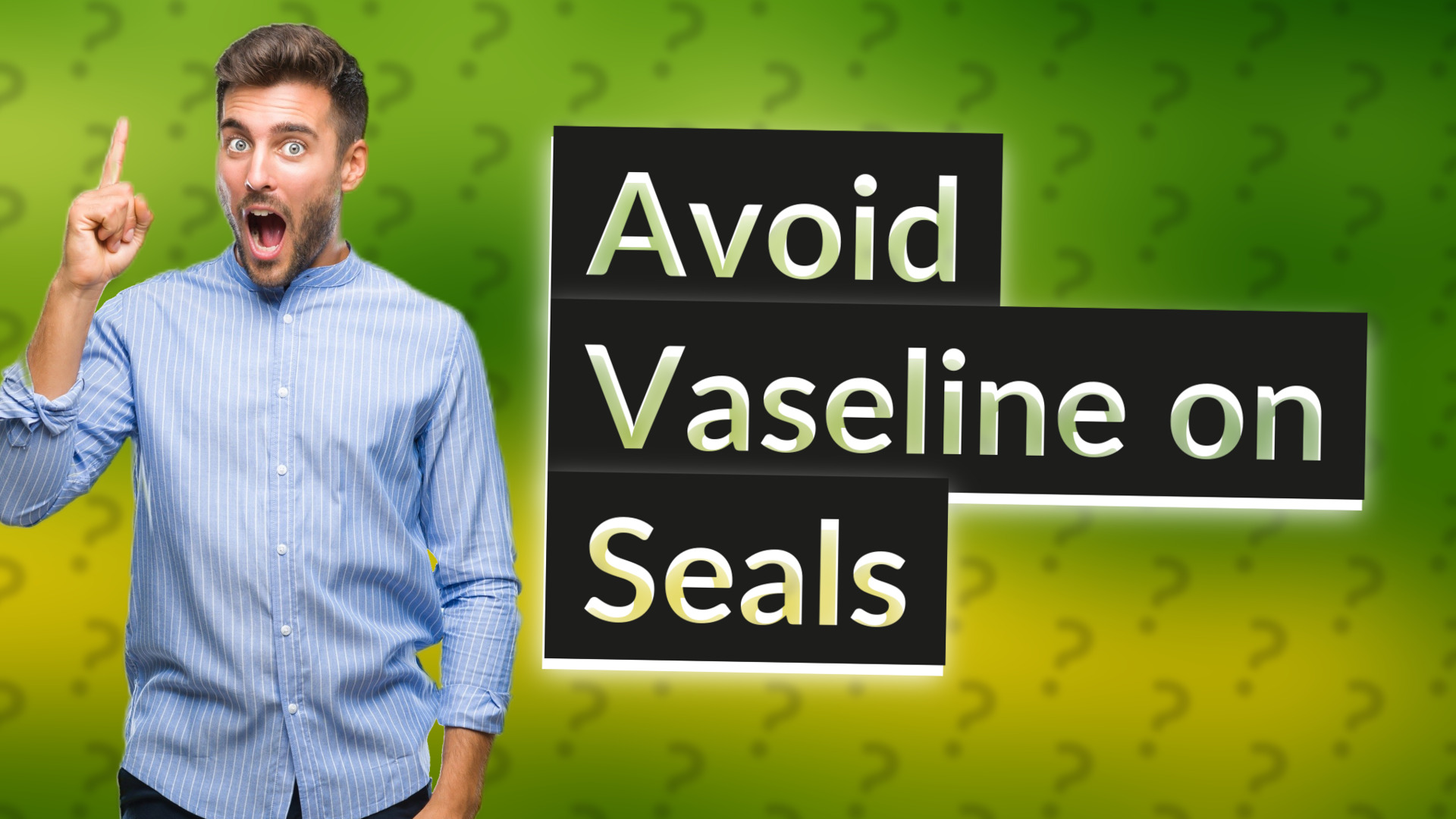 Avoid Vaseline on Seals