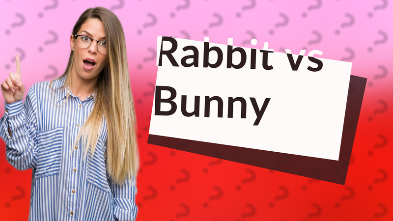 Rabbit vs Bunny