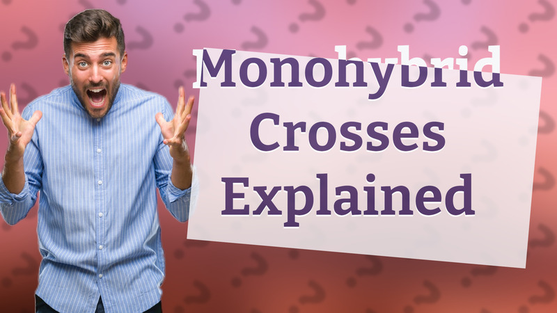 Monohybrid Crosses Explained
