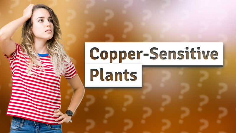 Copper-Sensitive Plants