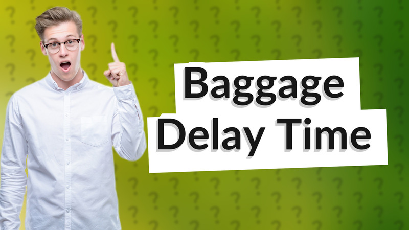 Baggage Delay Time