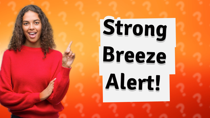 Strong Breeze Alert!