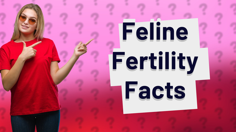 Feline Fertility Facts