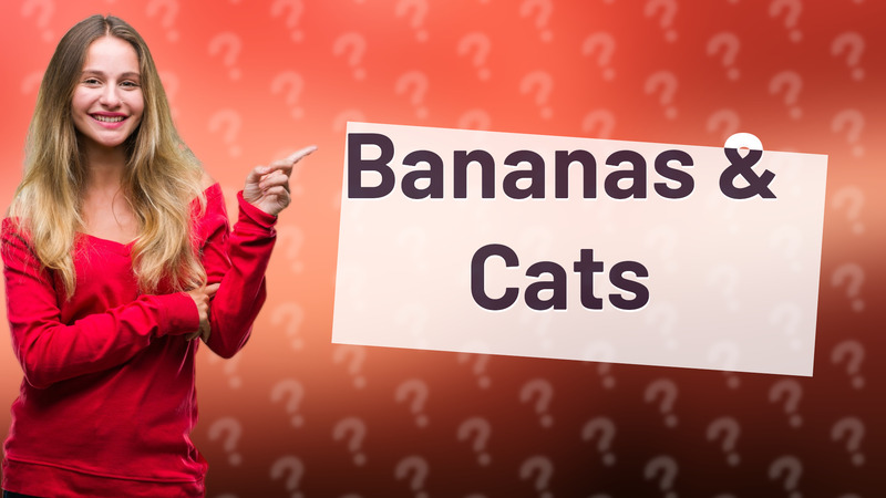 Bananas & Cats