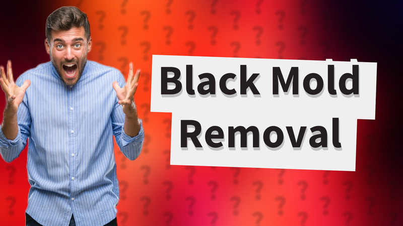 Black Mold Removal