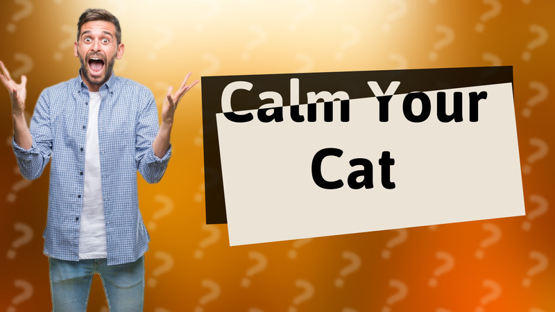Calm Your Cat