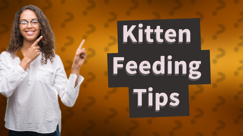 Kitten Feeding Tips
