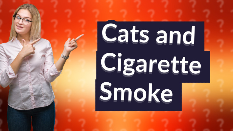 Cats and Cigarette Smoke