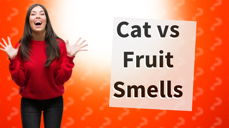 Cat vs Fruit Smells
