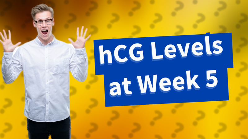hCG Levels at Week 5