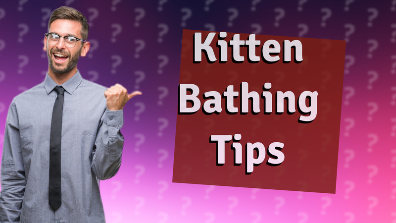 Kitten Bathing Tips
