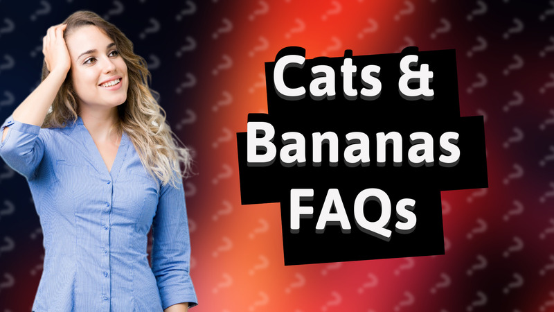 Cats & Bananas FAQs