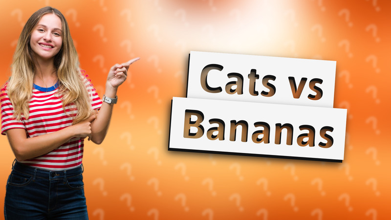 Cats vs Bananas