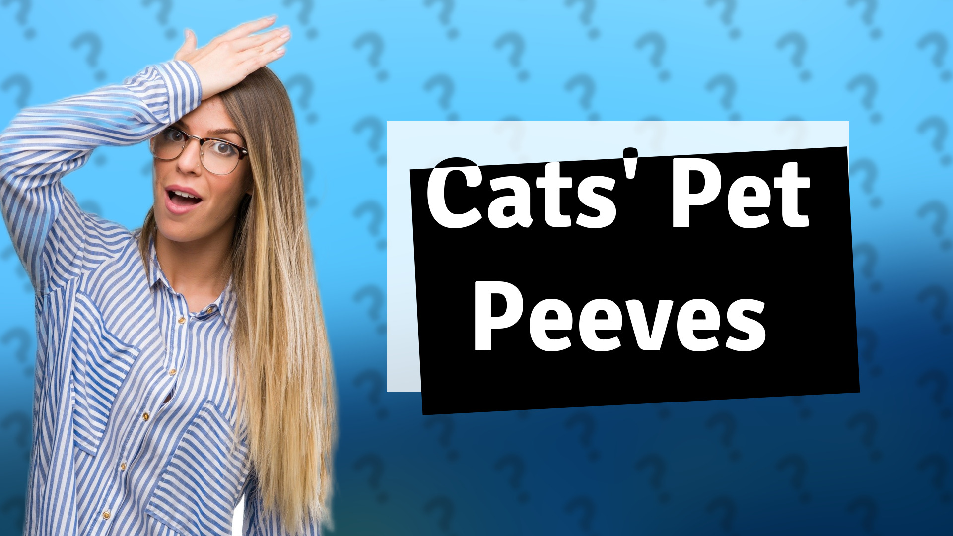 Cats' Pet Peeves