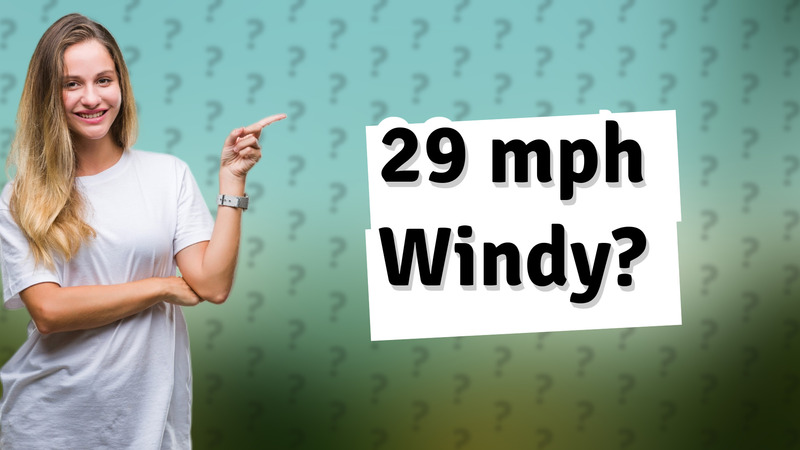 29 mph Windy?