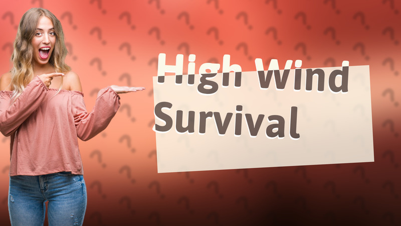 High Wind Survival