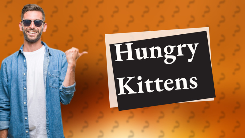 Hungry Kittens