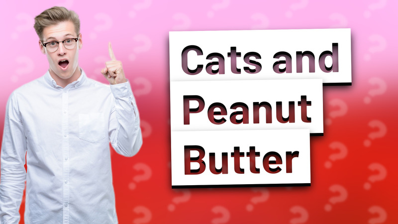 Cats and Peanut Butter