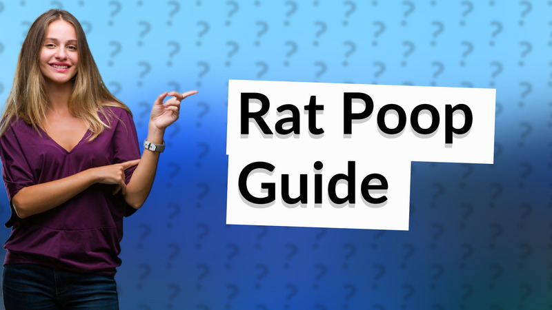 Rat Poop Guide