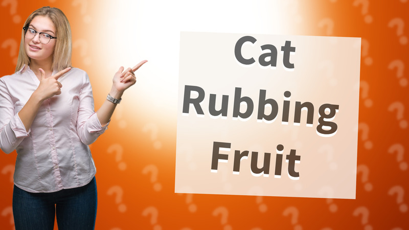 Cat Rubbing Fruit