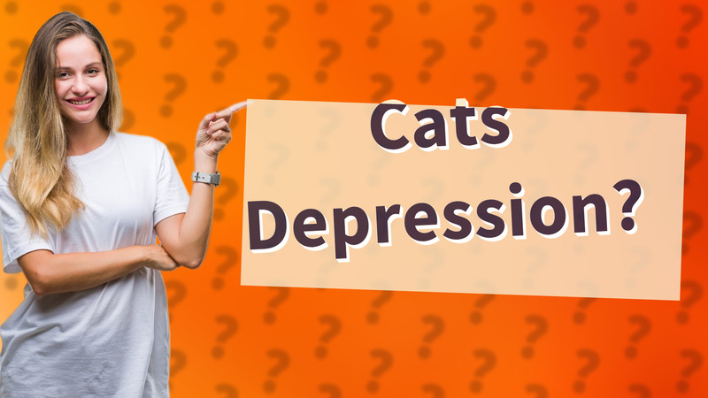 Cats Depression?