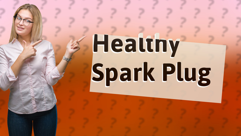 Healthy Spark Plug