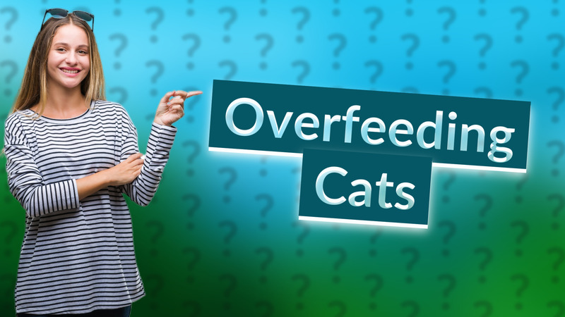 Overfeeding Cats
