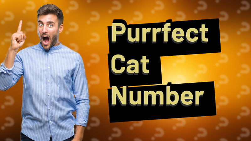 Purrfect Cat Number