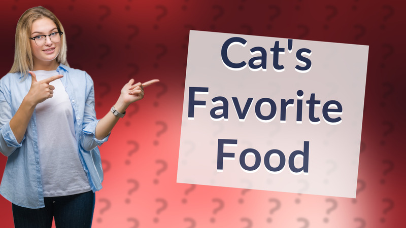 Cat's Favorite Food