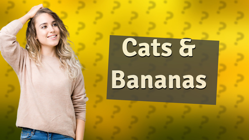 Cats & Bananas