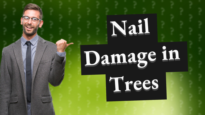 Nail Damage in Trees