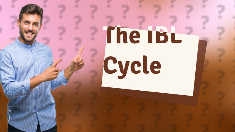 The IBL Cycle