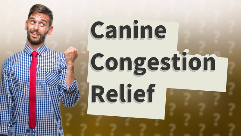 Canine Congestion Relief