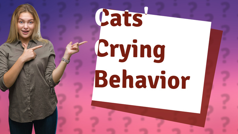 Cats' Crying Behavior