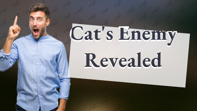 Cat's Enemy Revealed