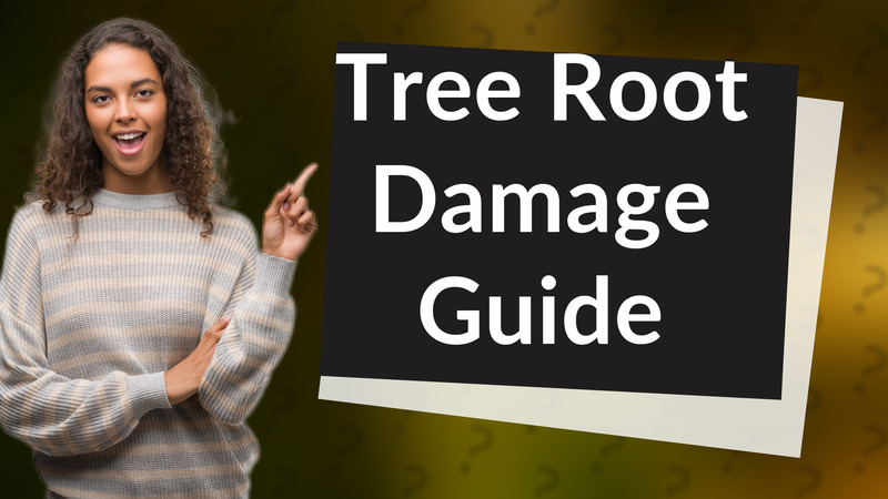 Tree Root Damage Guide