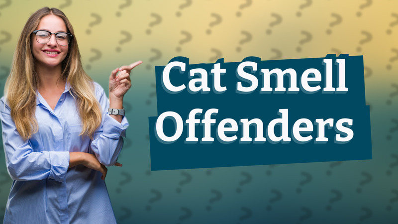 Cat Smell Offenders