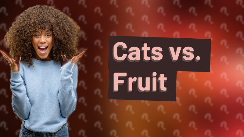 Cats vs. Fruit
