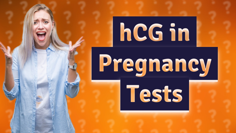 hCG in Pregnancy Tests